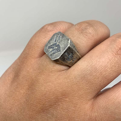 FREE Today: The God Of The Sky - Horus and Anubis Sterling Silver Ring