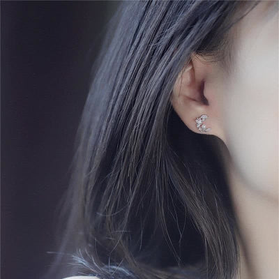 Women's Crescent Moon Earrings